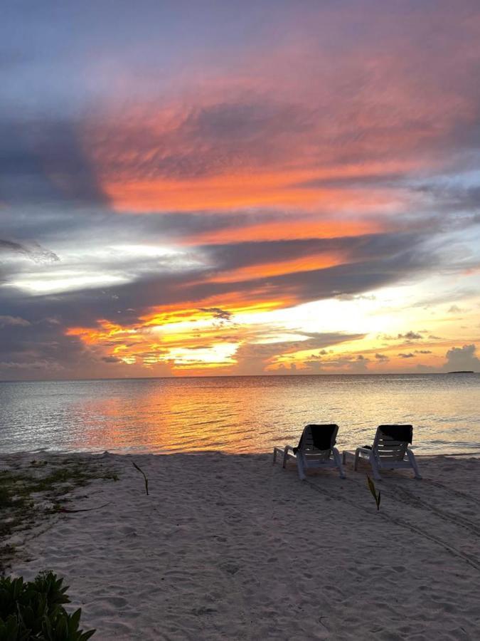 Beach House Dhiffushi Dış mekan fotoğraf